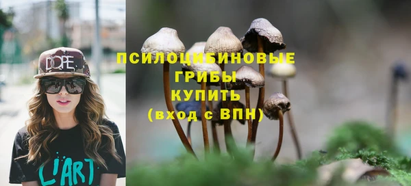 МДПВ Алексин