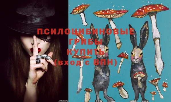 МДПВ Алексин