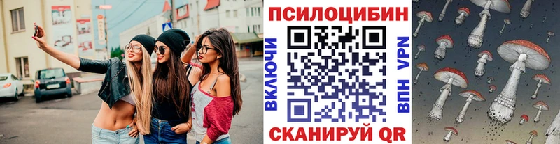 купить закладку  Черноголовка  Псилоцибиновые грибы ЛСД 